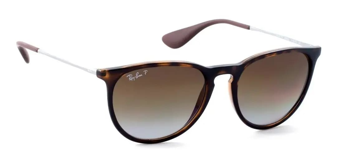 Ray-Ban Erika Classic vista alternativa